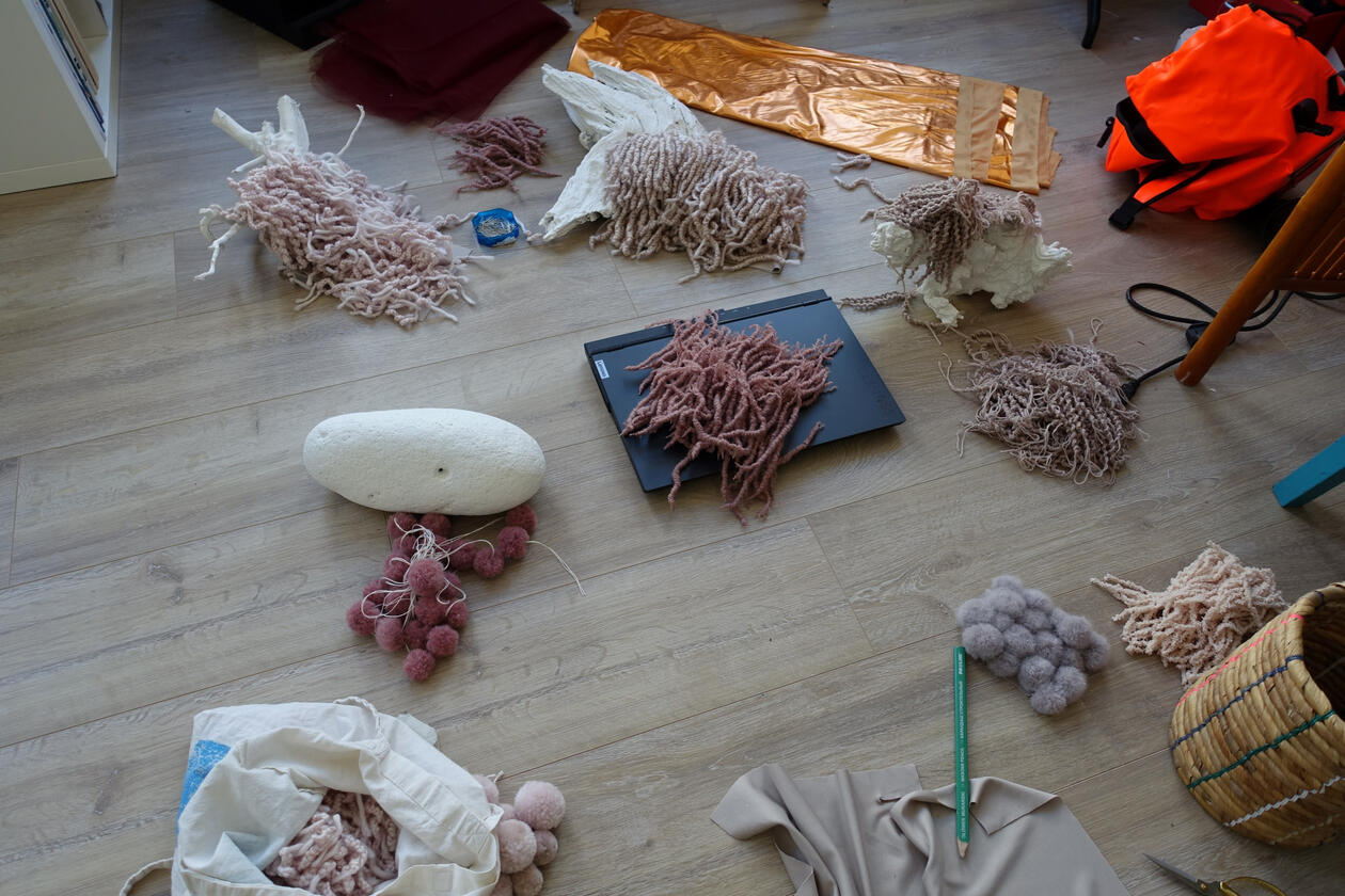 Mosses: A Lush Lexicon - proces