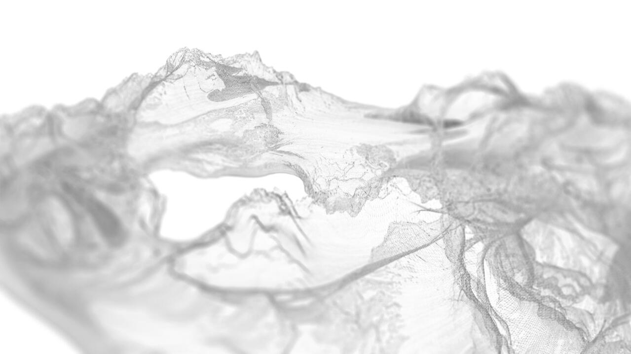 Digital texture: video still